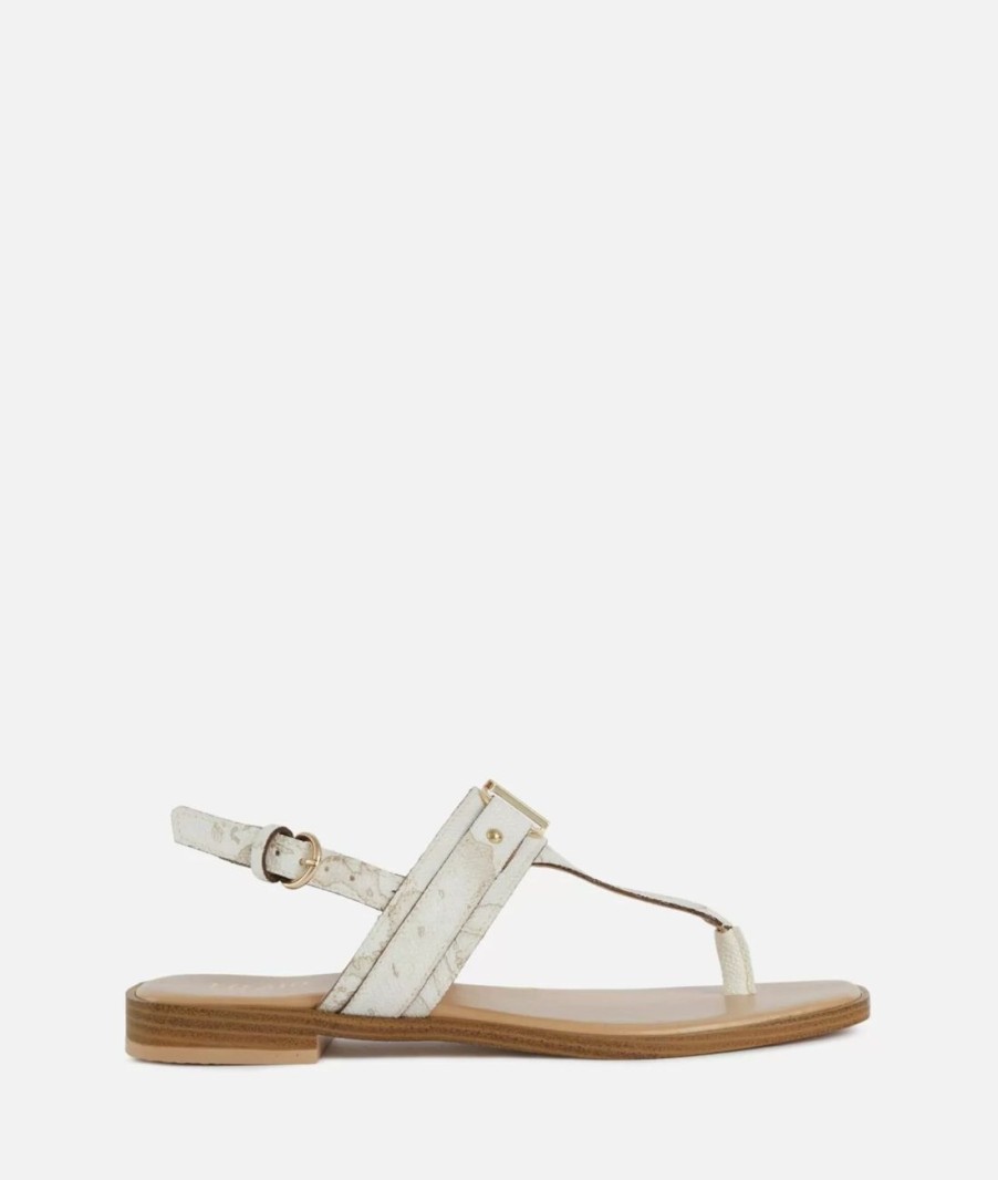 Women ALVIERO MARTINI Sandal | Sandal